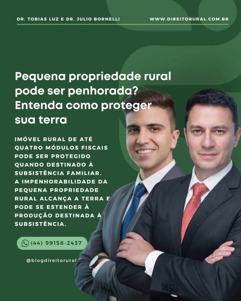 Pequena propriedade rural pode ser penhorada? Entenda como proteger sua terra