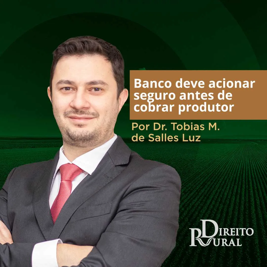 Banco deve acionar seguro rural antes de cobrar dívida do produtor