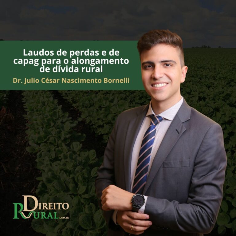 Laudos de perdas e de capag para o alongamento de dívida rural