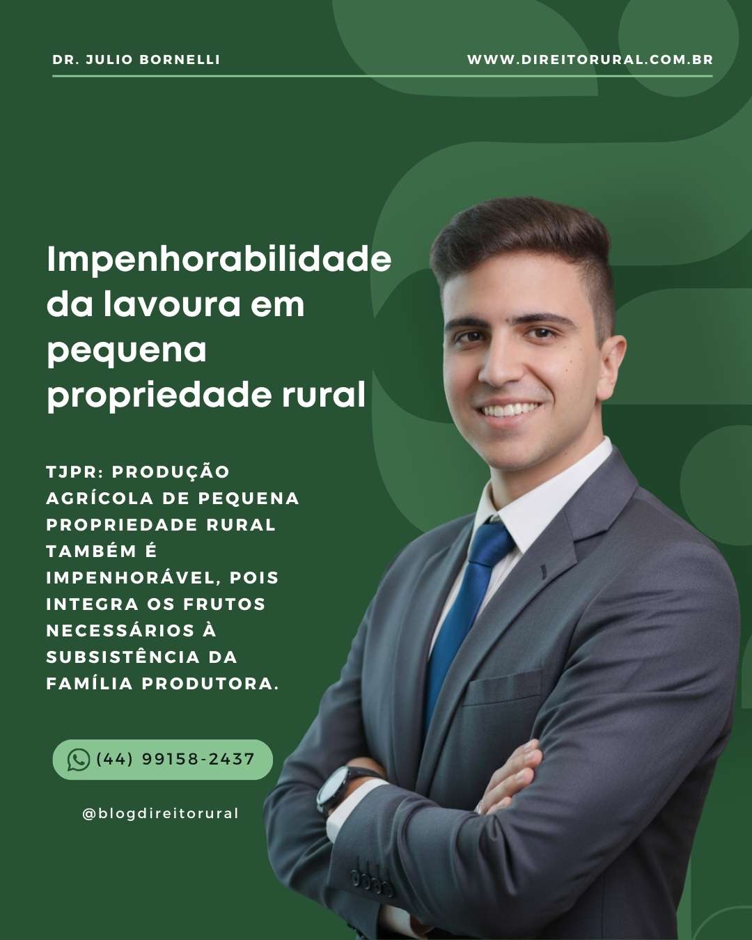 Impenhorabilidade da lavoura em pequena propriedade rural