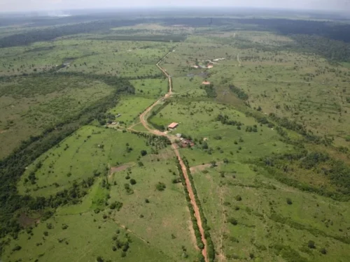 fazenda bandeirante - 1